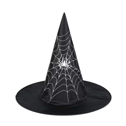 Cobweb Witch Hat