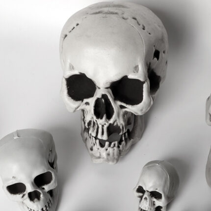 Halloween Skulls
