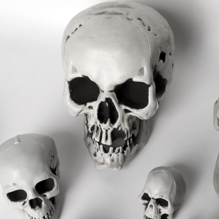 Halloween Skulls