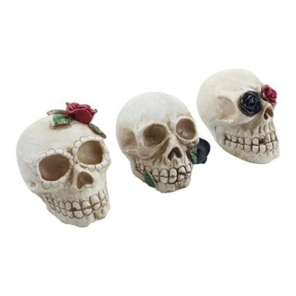 Rose Flower Skull