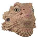Horned Lizard Mask