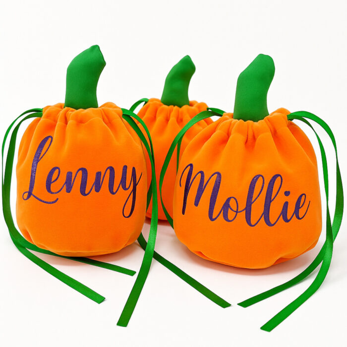Adorable Pumpkin Candy Pouch