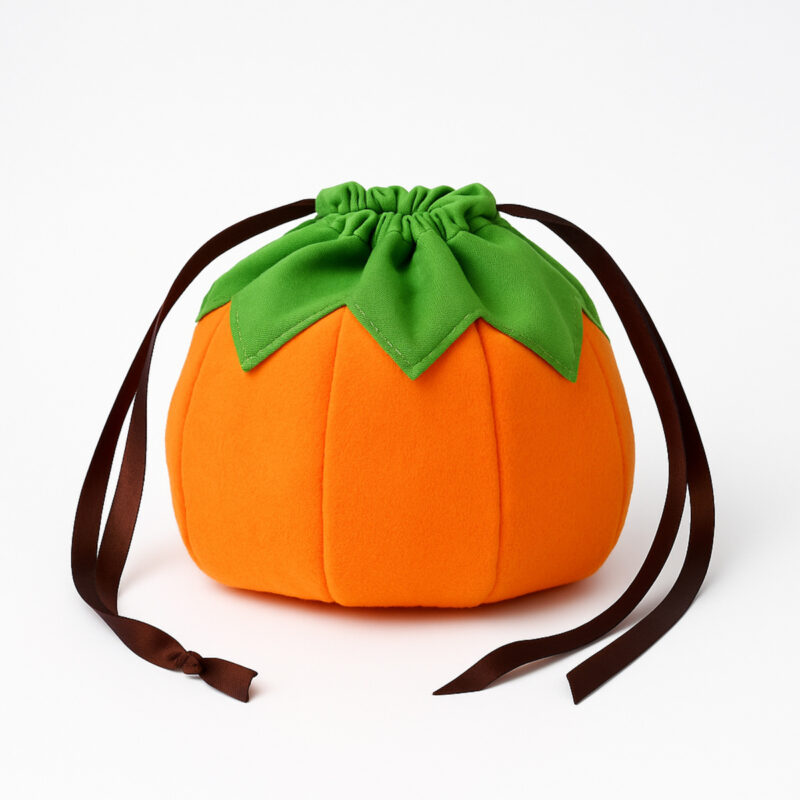Halloween Pumpkin Pouch Fun