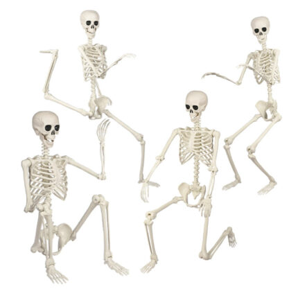 Scary 165cm Standing Skeleton