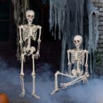 6ft Skeleton Halloween Prop