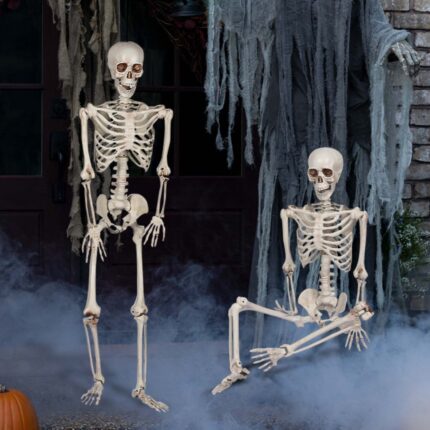 6ft Skeleton Halloween Prop