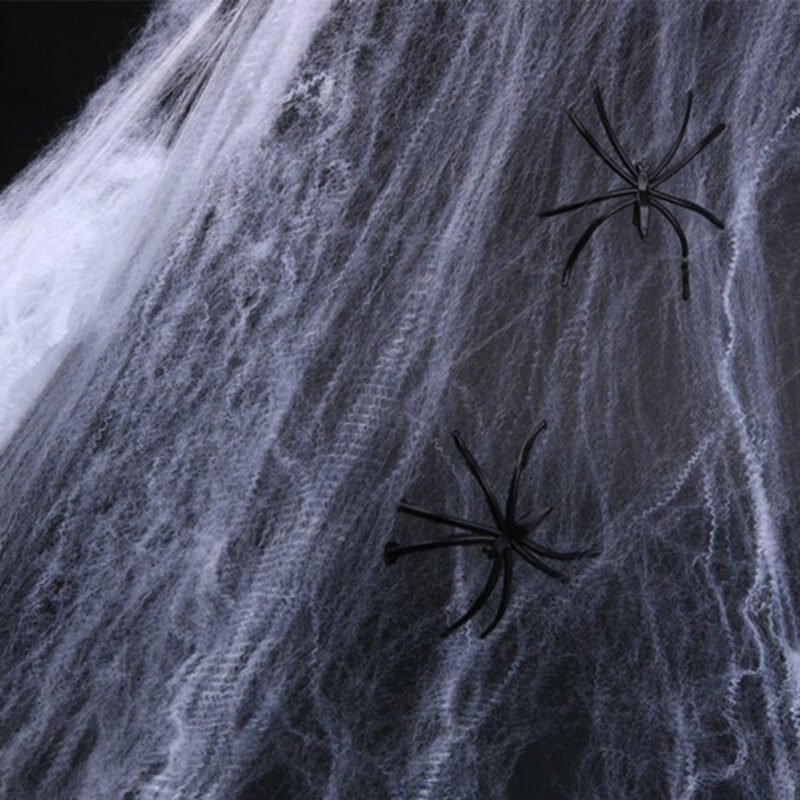 Creepy Spider Cobweb Decor