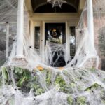 Scary Fake Spider Web Decor