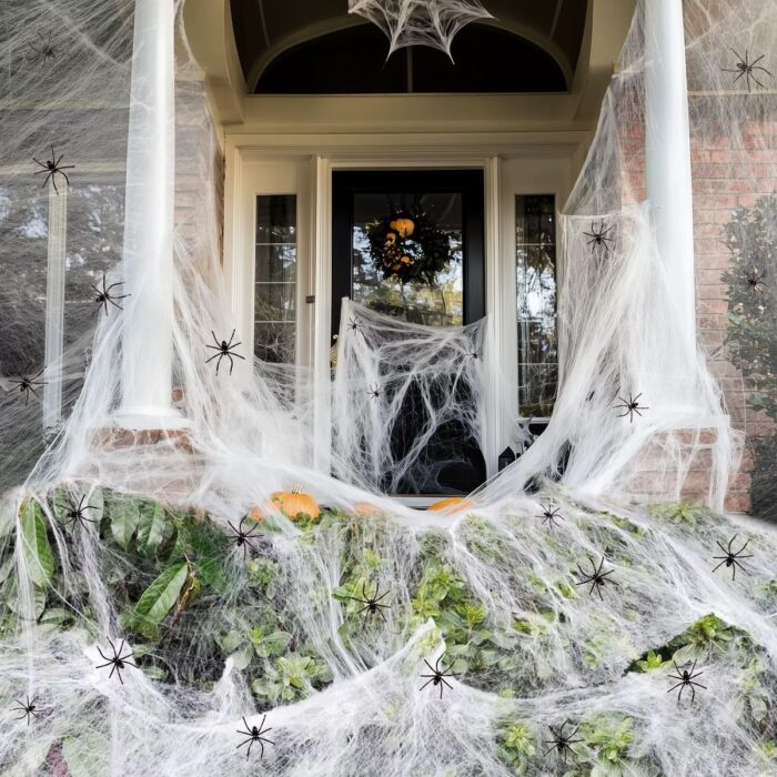 Scary Fake Spider Web Decor