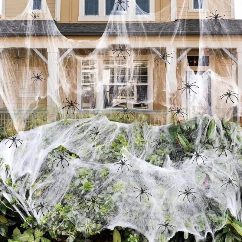 Scary Fake Spiders Cobweb Scenes