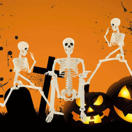 Haunted Human Skeleton Prop