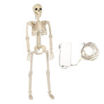 Luminous Standing Skeleton Prop