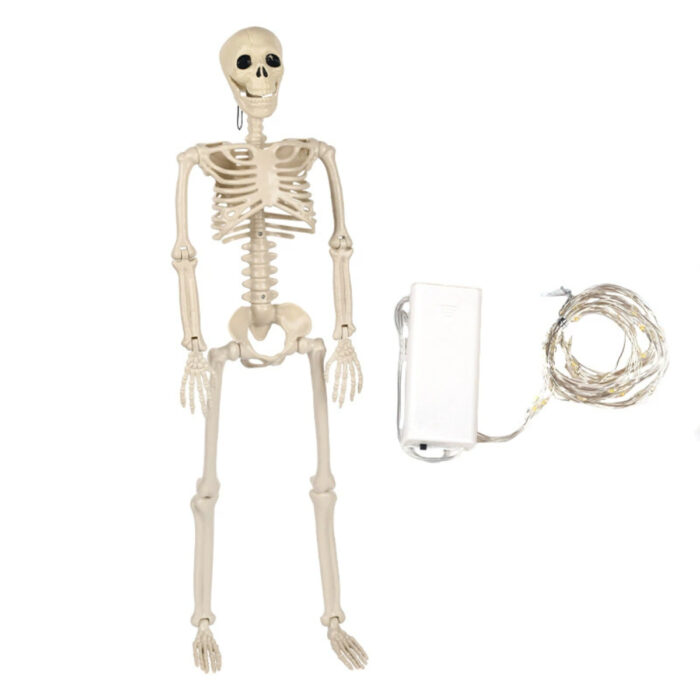 Luminous Standing Skeleton Prop