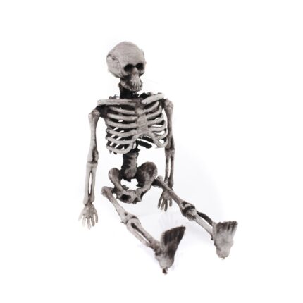 Mini Skeleton Ornament Decor