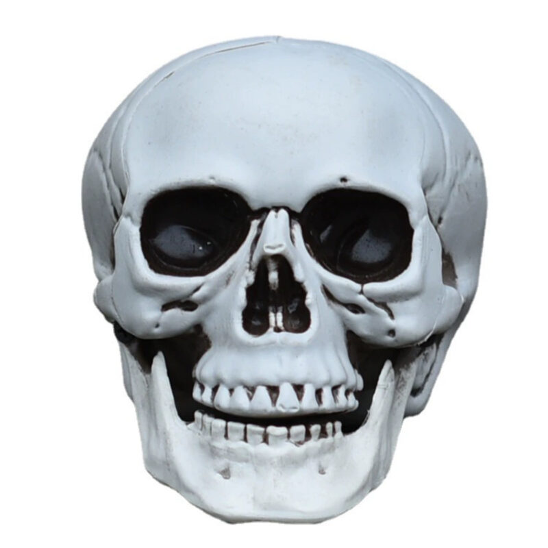 Plastic Simulation Skull Decor