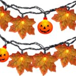 Pumpkin Lantern Light Strings