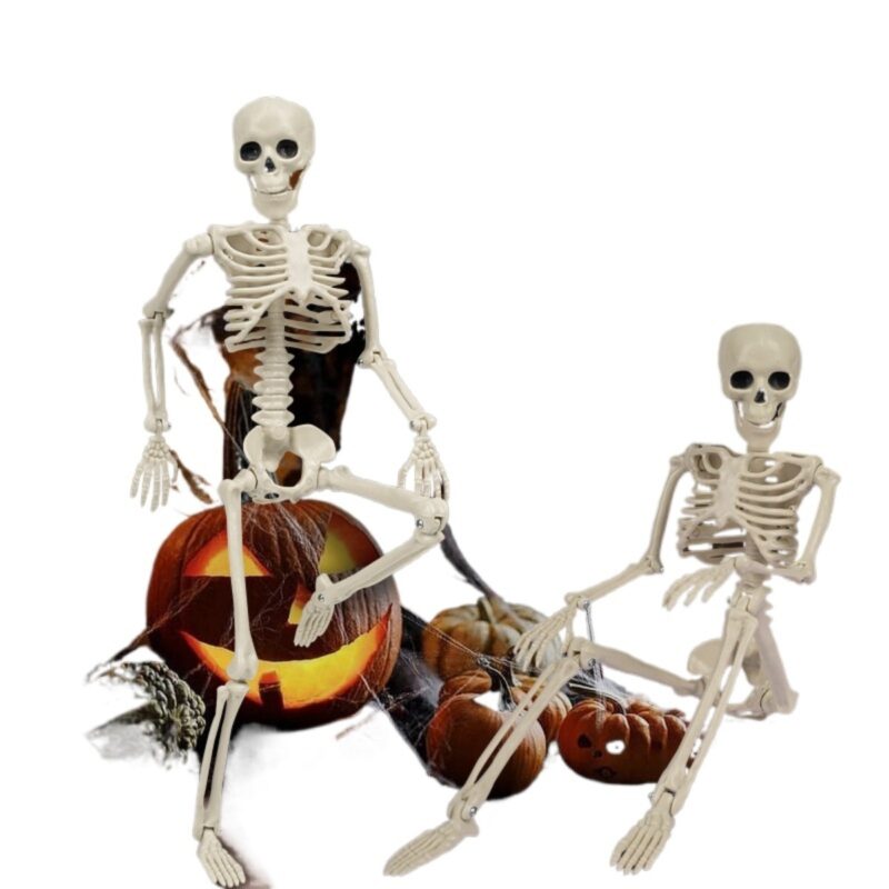 40cm Skeleton Skull Halloween