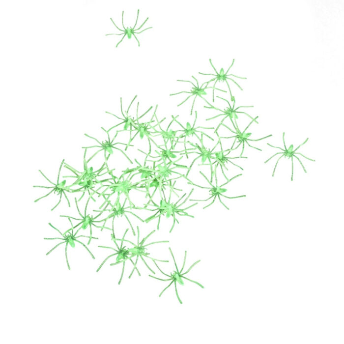 Scary Luminous Spider Web Props