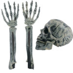 Skull and Claws Set Decoration