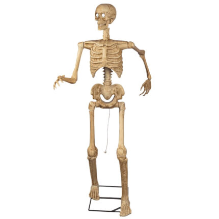 Scary Simulation Skeleton Skull