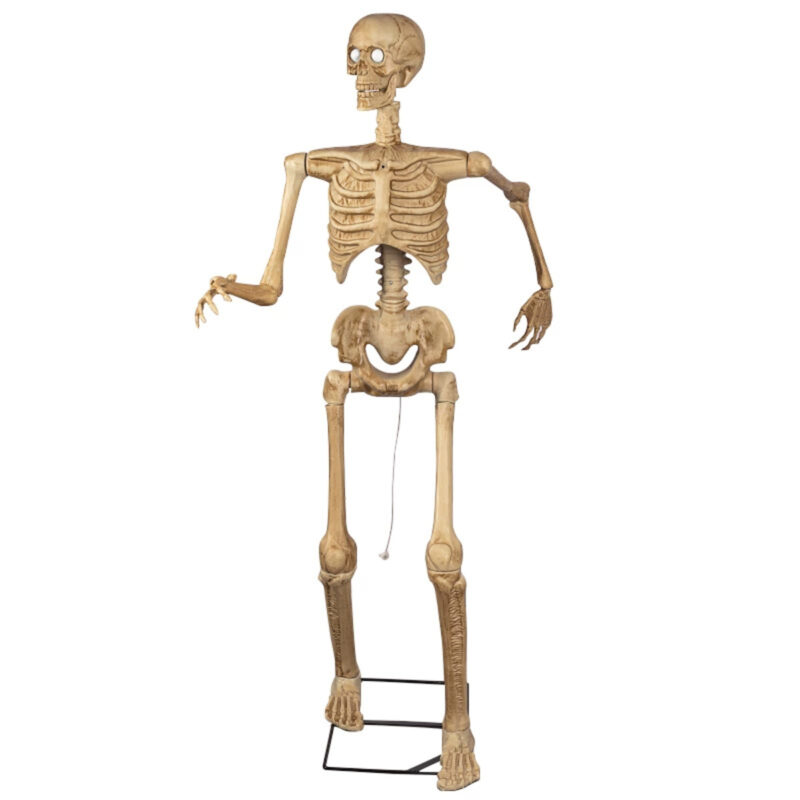 Scary Simulation Skeleton Skull