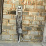 Wall Hanging Ghost Skull Decor