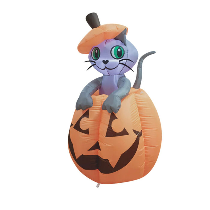 Black Cat Sticking Out of Pumpkin