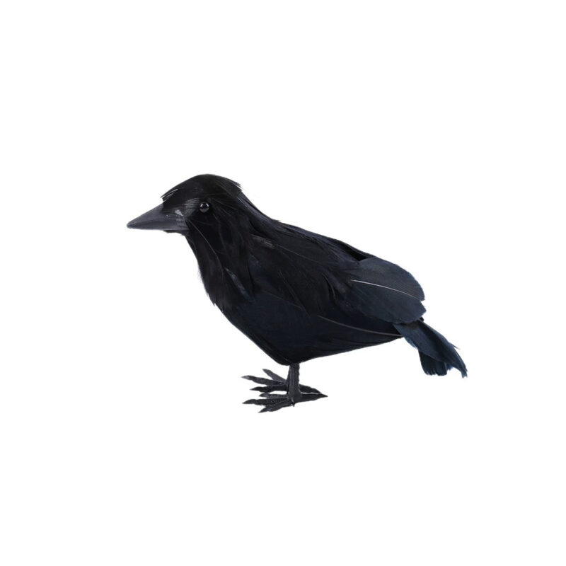 Halloween Feather Crow Props