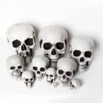 Horror Skull Props for Halloween