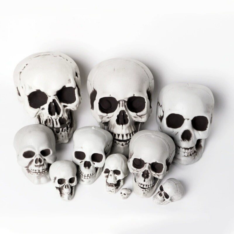 Horror Skull Props for Halloween