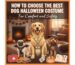 best dog halloween costumes